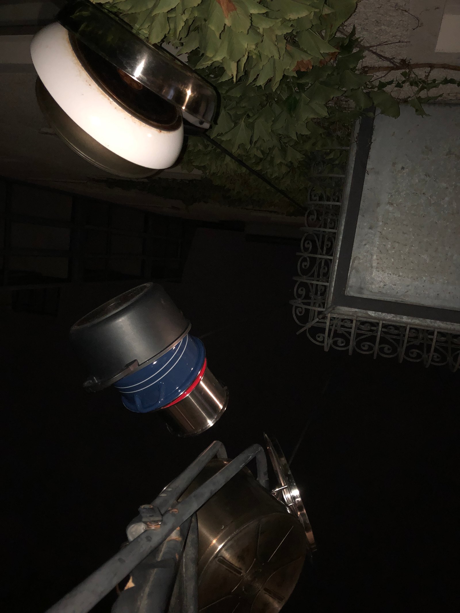 zum trocknen aufgehängt